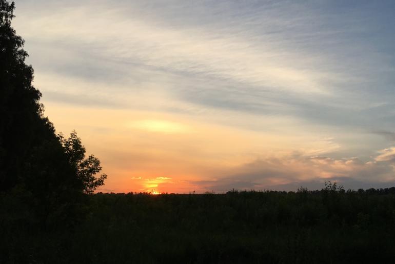 Volga Steppe Nature Reserve